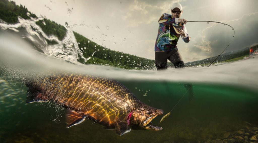 The Numerous Health Benefits Of Taking Up a Hobby Like Fishing.