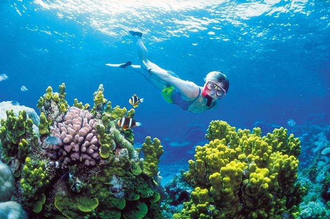 Everything you need to know about snorkeling in Cancun