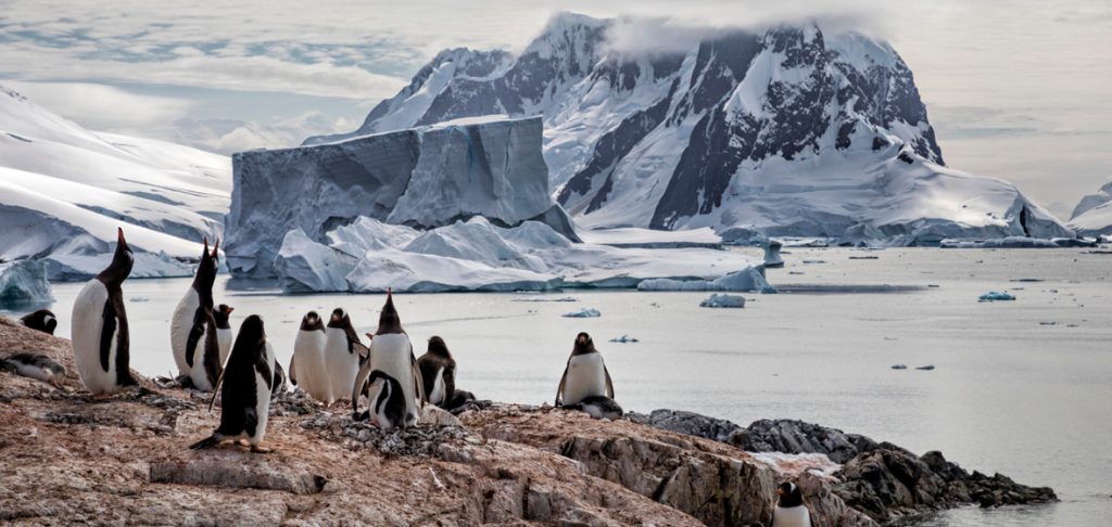 The Antarctic Treaty System: Why It’s Still a Global Success Story